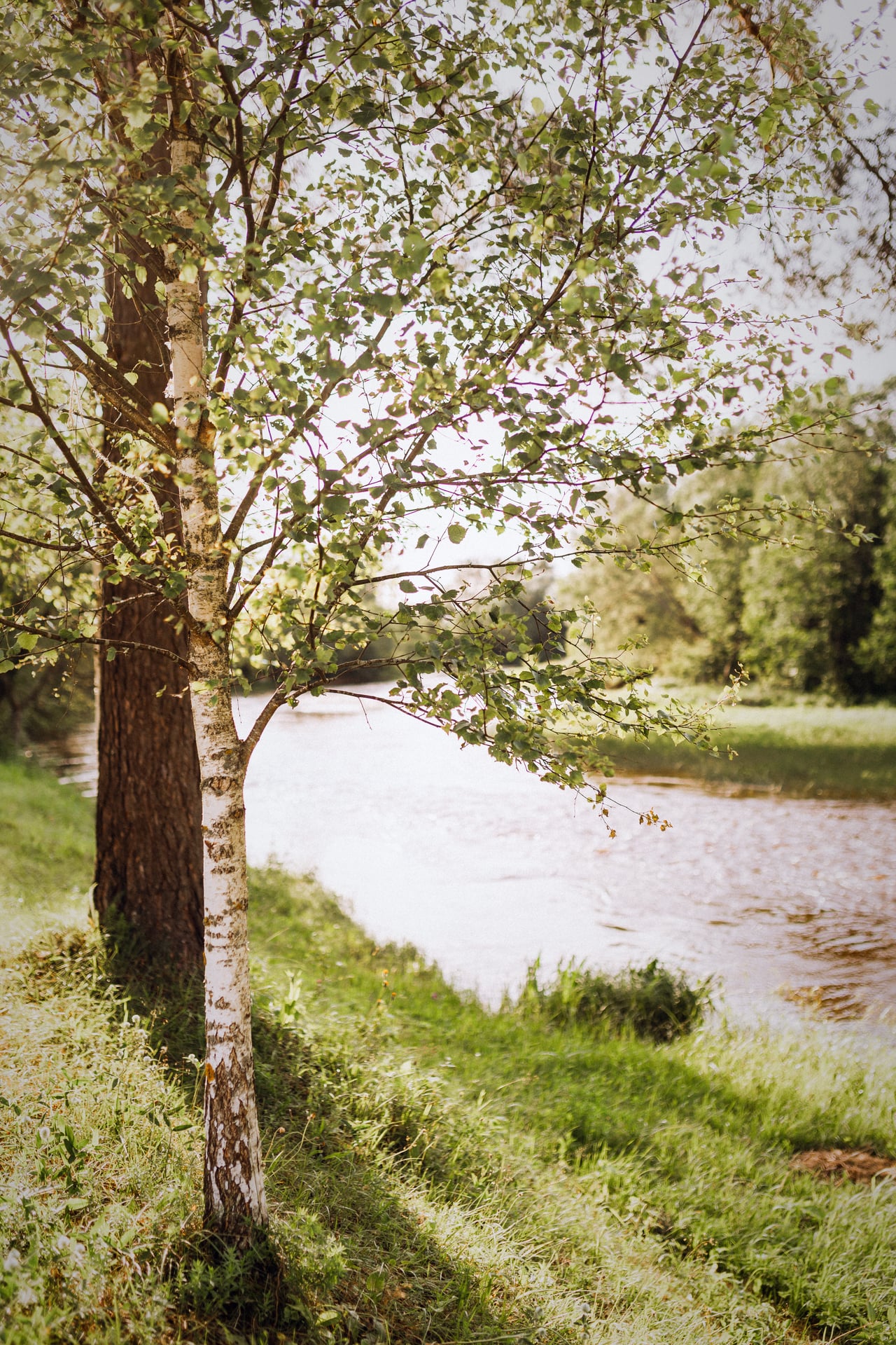 Glempings 10